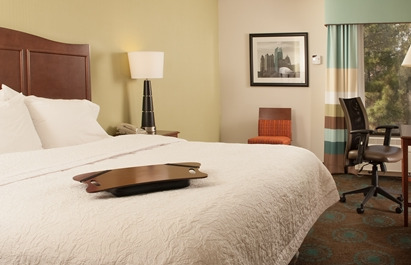 Hotel Hampton Atlanta-north