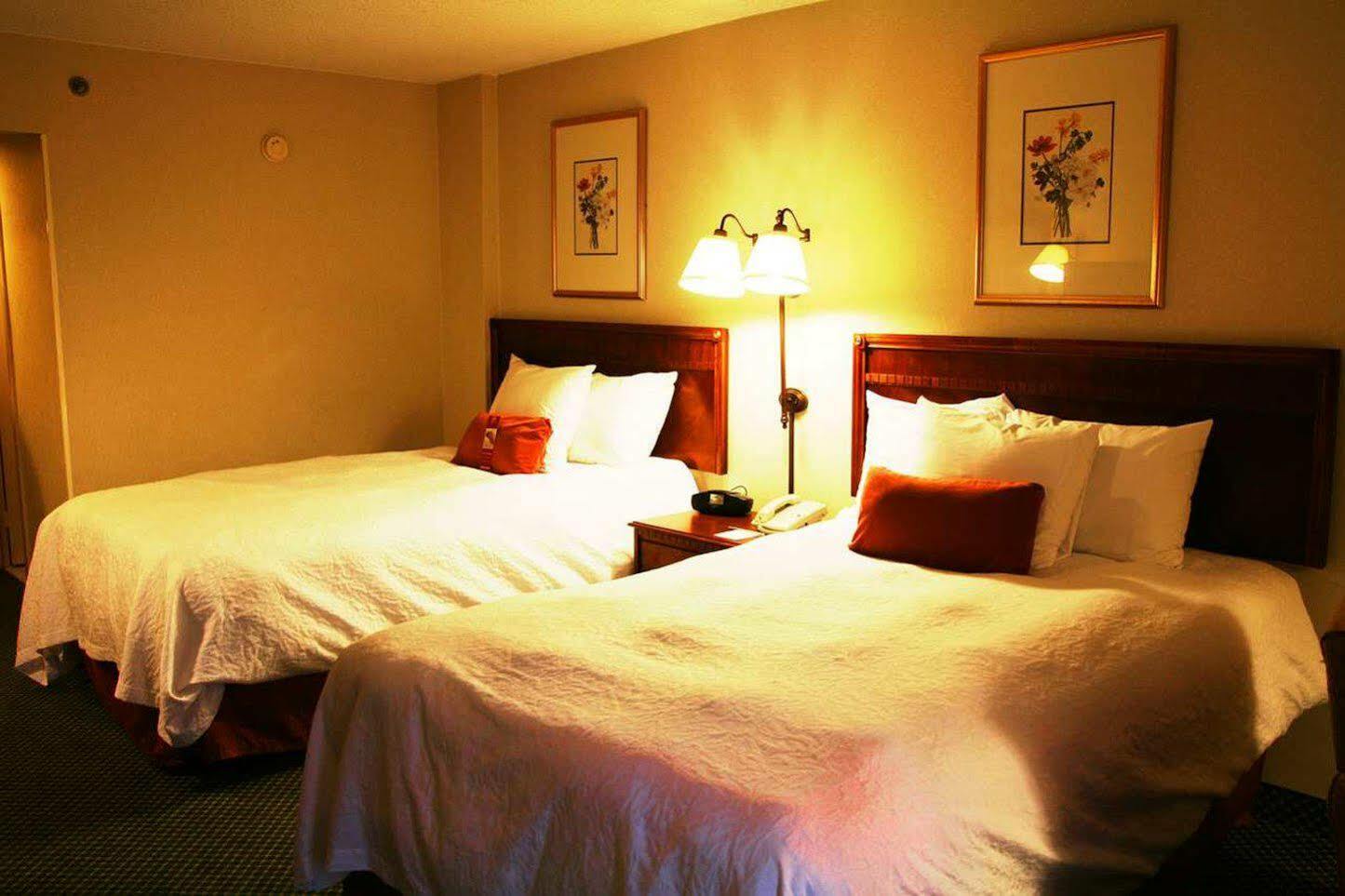 Hampton Atlanta-north 3*
